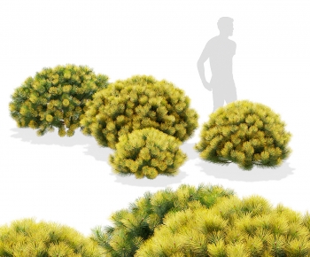 Modern Shrubbery-ID:132857088