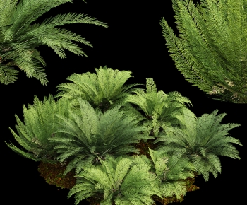 Modern The Grass-ID:746969947