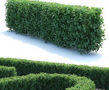 Modern Shrubbery-ID:695399054