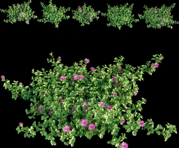 Modern Flowers And Grass-ID:772197967