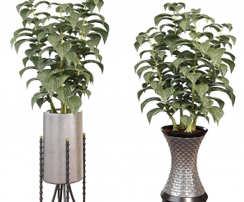 Modern Potted Green Plant-ID:561890648