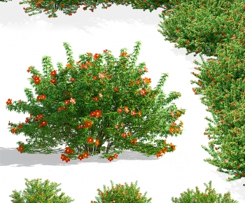 Modern Flowers And Grass-ID:153280977