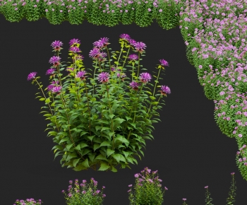 Modern Flowers And Grass-ID:777019985