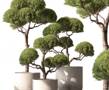 Modern Ground Green Plant Potted Plants-ID:104969983