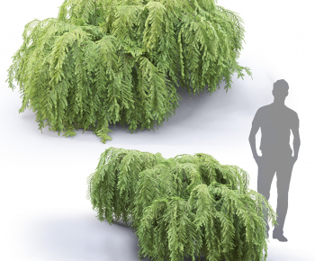 Modern Shrubbery-ID:679276947