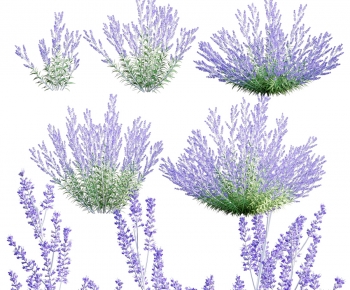 Modern Flowers And Grass-ID:560655123