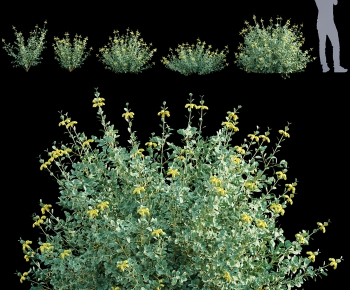 Modern Flowers And Grass-ID:359807015