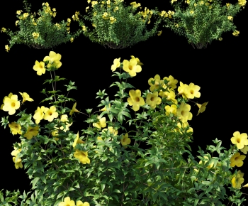 Modern Flowers And Grass-ID:426479109