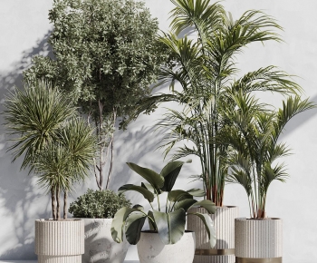 Modern Ground Green Plant Potted Plants-ID:688703064