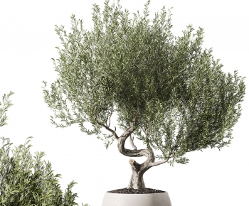 Modern Ground Green Plant Potted Plants-ID:624397049