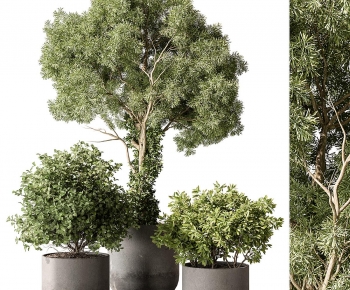 Modern Ground Green Plant Potted Plants-ID:361958982