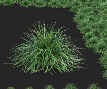 Modern The Grass-ID:286417015