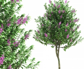 Modern Tree-ID:333389045