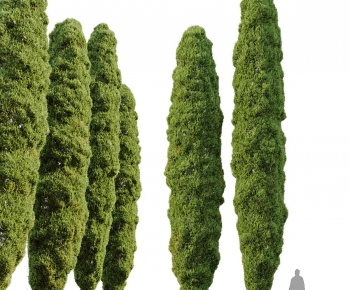 Modern Tree-ID:301945921