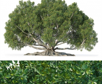 Modern Tree-ID:156493906