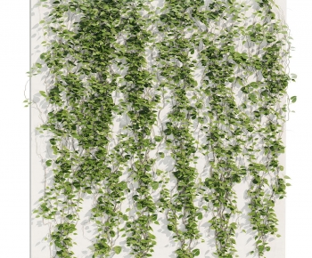 Modern Vine-ID:801851036