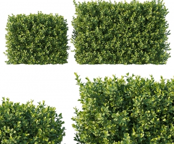 Modern Shrubbery-ID:467968948