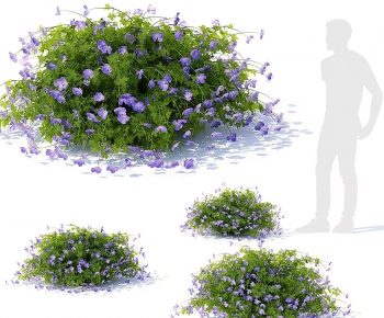 Modern Shrubbery-ID:551449064