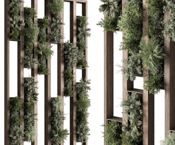 Modern Vine-ID:249946127