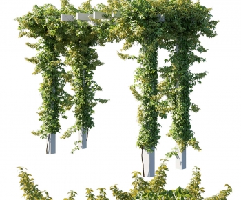 Modern Plant-ID:390893949