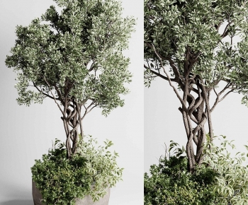 Modern Ground Green Plant Potted Plants-ID:698445085