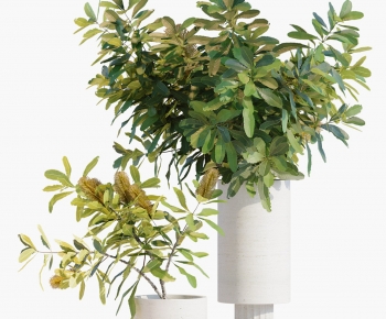 Modern Aquatic Green Plant-ID:263706923