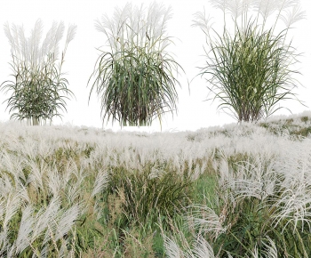 Modern Flowers And Grass-ID:930919893