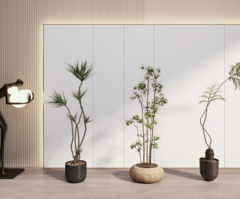 Modern Ground Green Plant Potted Plants-ID:663933999