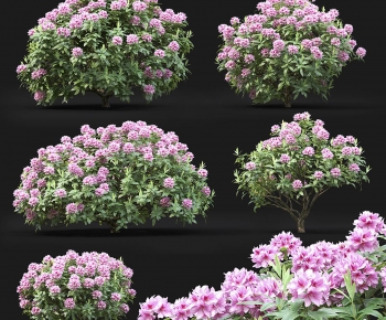 Modern Shrubbery-ID:252650028