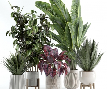 Modern Ground Green Plant Potted Plants-ID:231575977