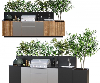 Modern Other-ID:420017006