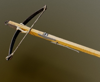 Modern Other-ID:224966054