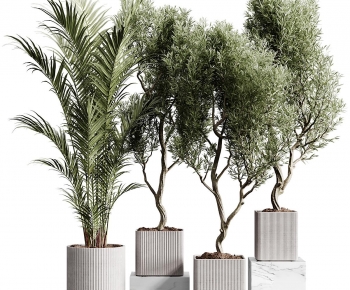 Modern Ground Green Plant Potted Plants-ID:205183983