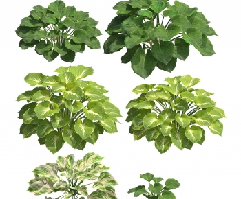 Modern Plant-ID:589087962