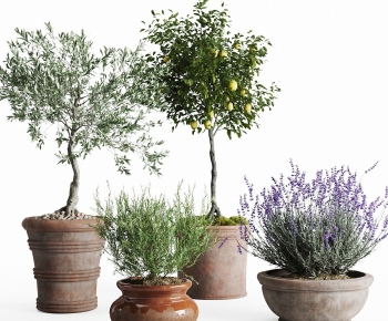 Modern Ground Green Plant Potted Plants-ID:586201911