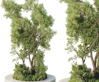 Modern Tree Pool-ID:200000055