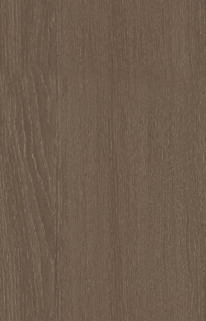 ModernWood Texture