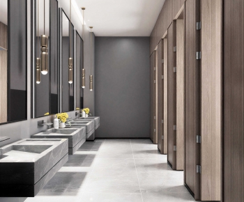 Modern Public Toilet-ID:145397905