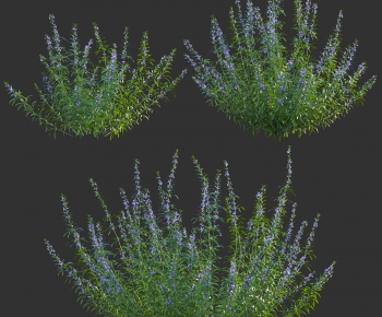 Modern The Grass-ID:853225956