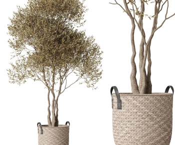 Modern Ground Green Plant Potted Plants-ID:814861062