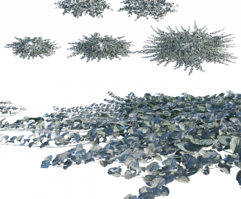 Modern Vine-ID:712214953