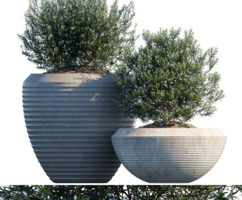 Modern Flower Bed, Flower Bowl, Flower Box-ID:753640896