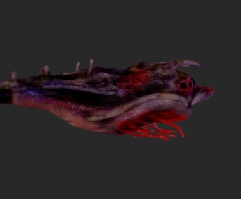 Modern Other Animals-ID:513101107