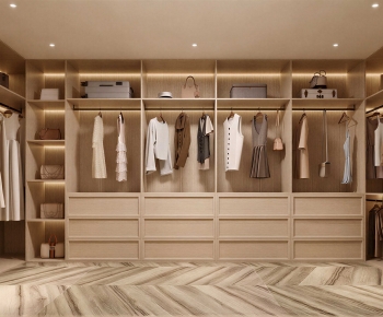 Modern Clothes Storage Area-ID:932586914