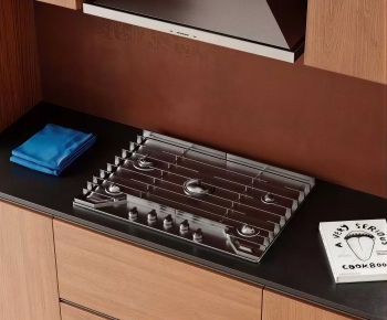 Modern Kitchen Electric Gas Range-ID:709604985