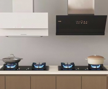 Modern Kitchen Electric Gas Range-ID:121633052