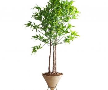 Modern Ground Green Plant Potted Plants-ID:204531913