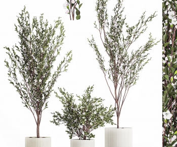 Modern Ground Green Plant Potted Plants-ID:917110921