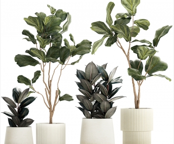 Modern Ground Green Plant Potted Plants-ID:192002064