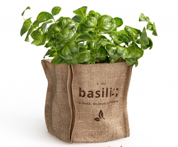 Modern Crop-ID:255162004